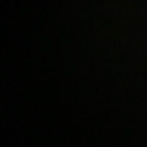 Meet your Posher, Roy